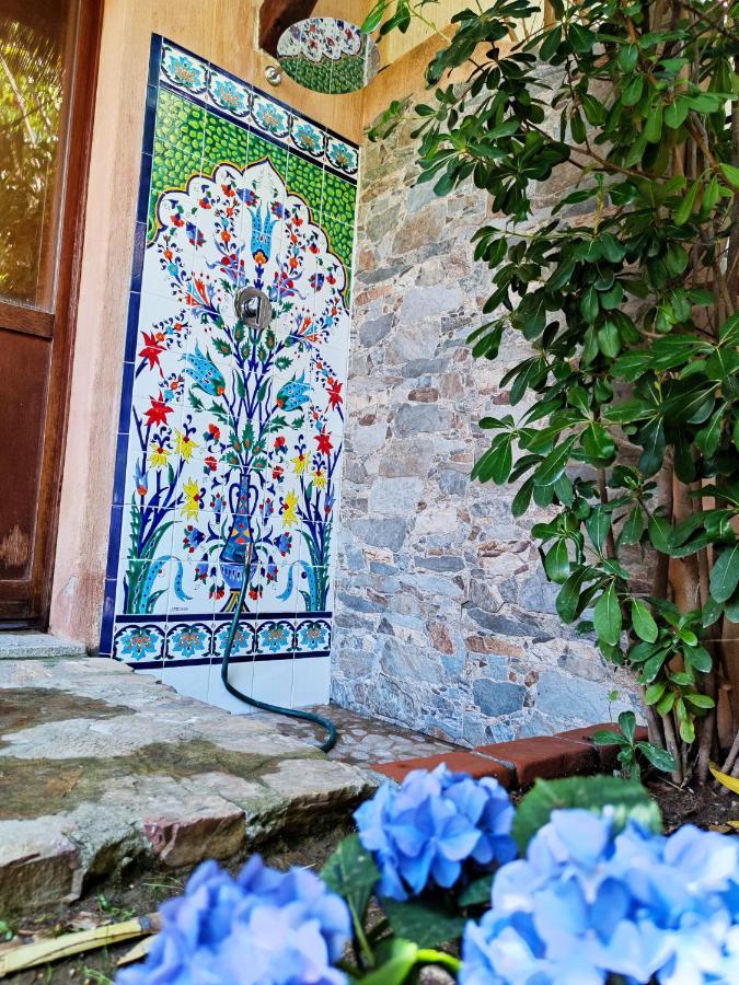 Domu Cannuja فيلاّسيمِيوس المظهر الخارجي الصورة